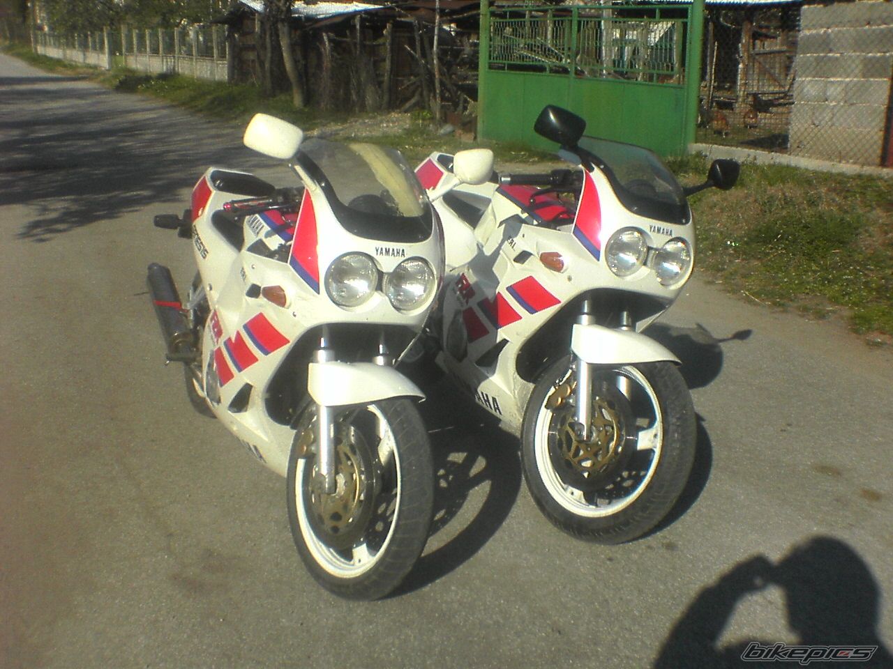 Photo 1235919