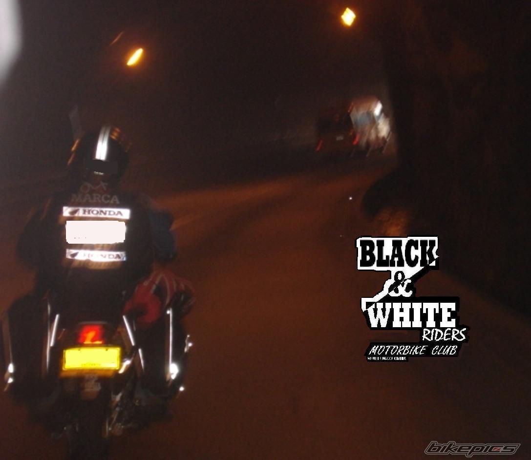 Photo 1235971