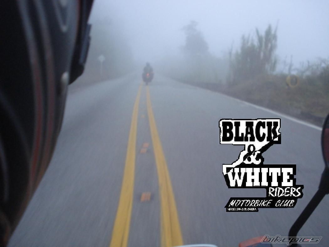 Photo 1235974