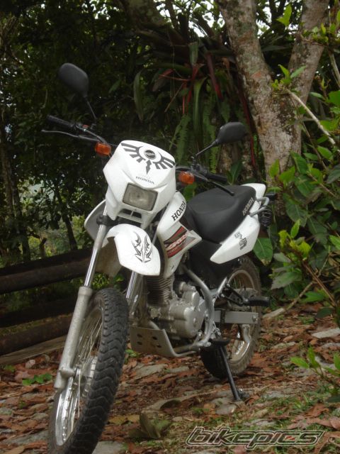 Photo 1236039