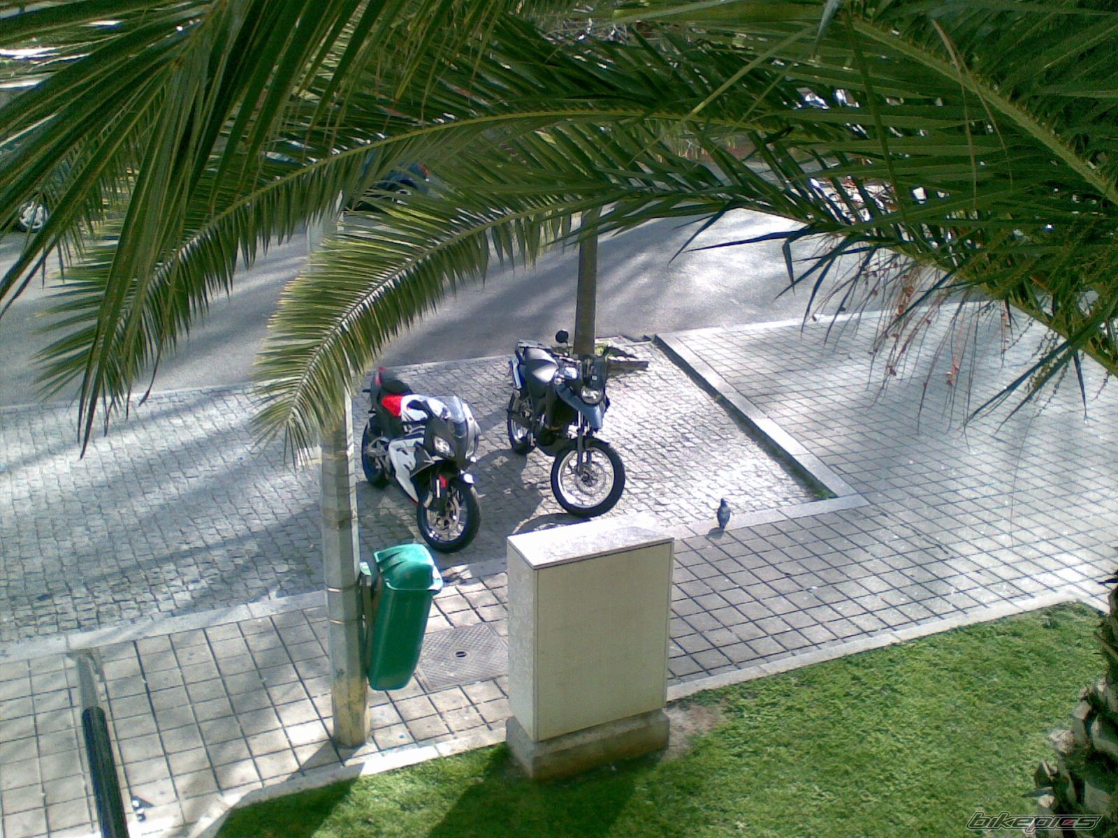 Photo 1236107