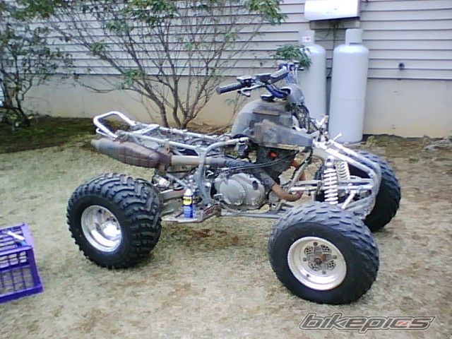 Photo 1236182