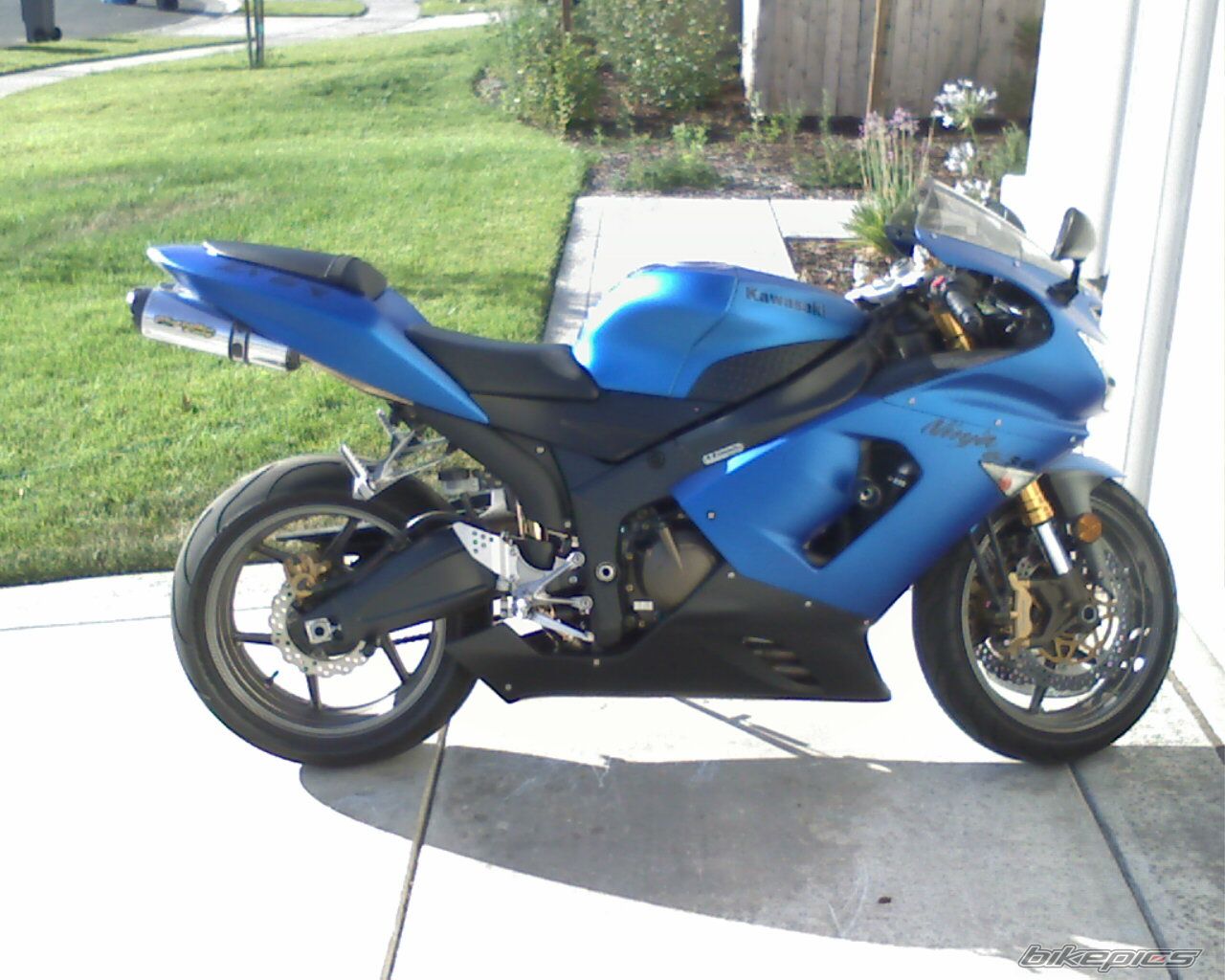Photo 1236242