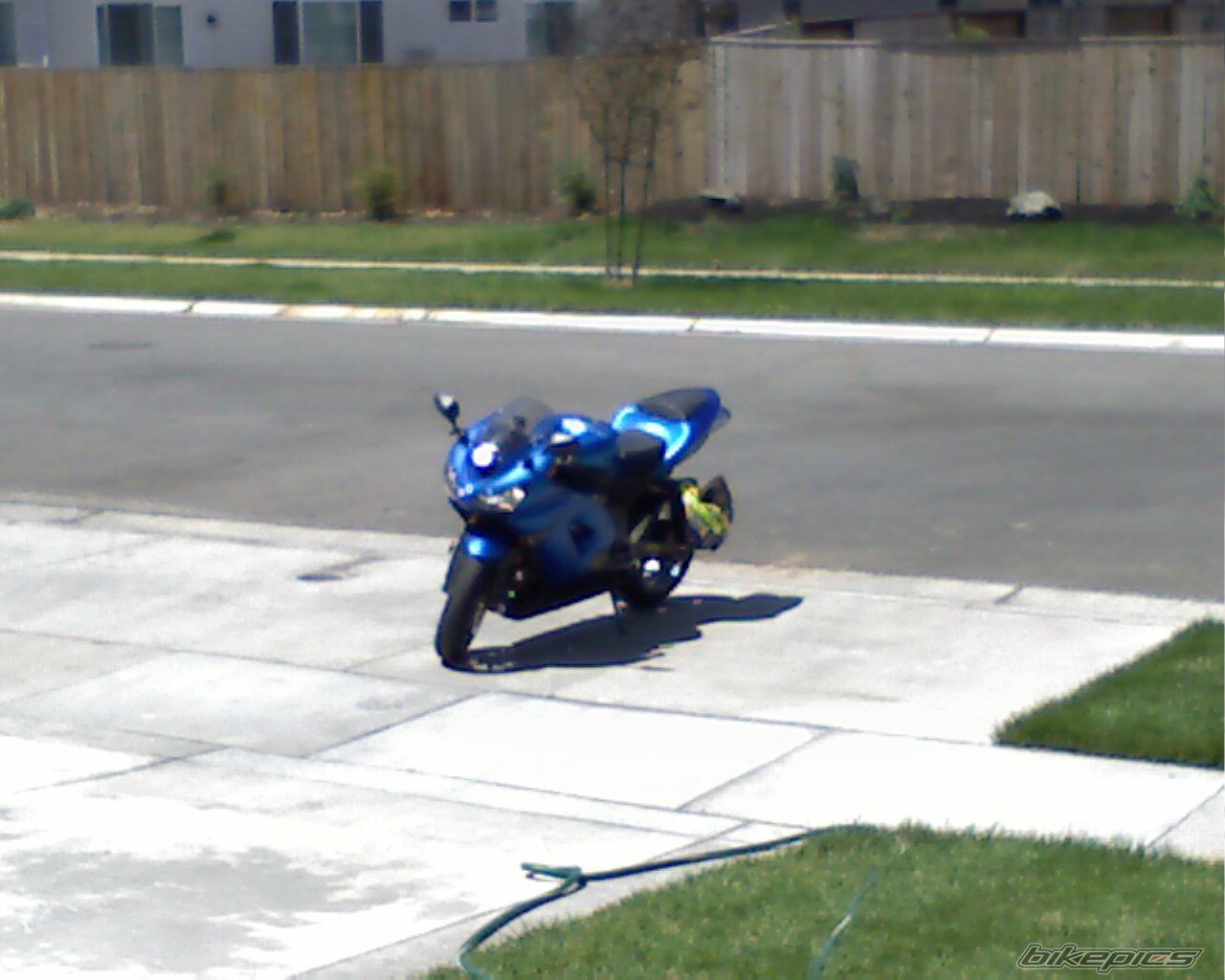 Photo 1236243