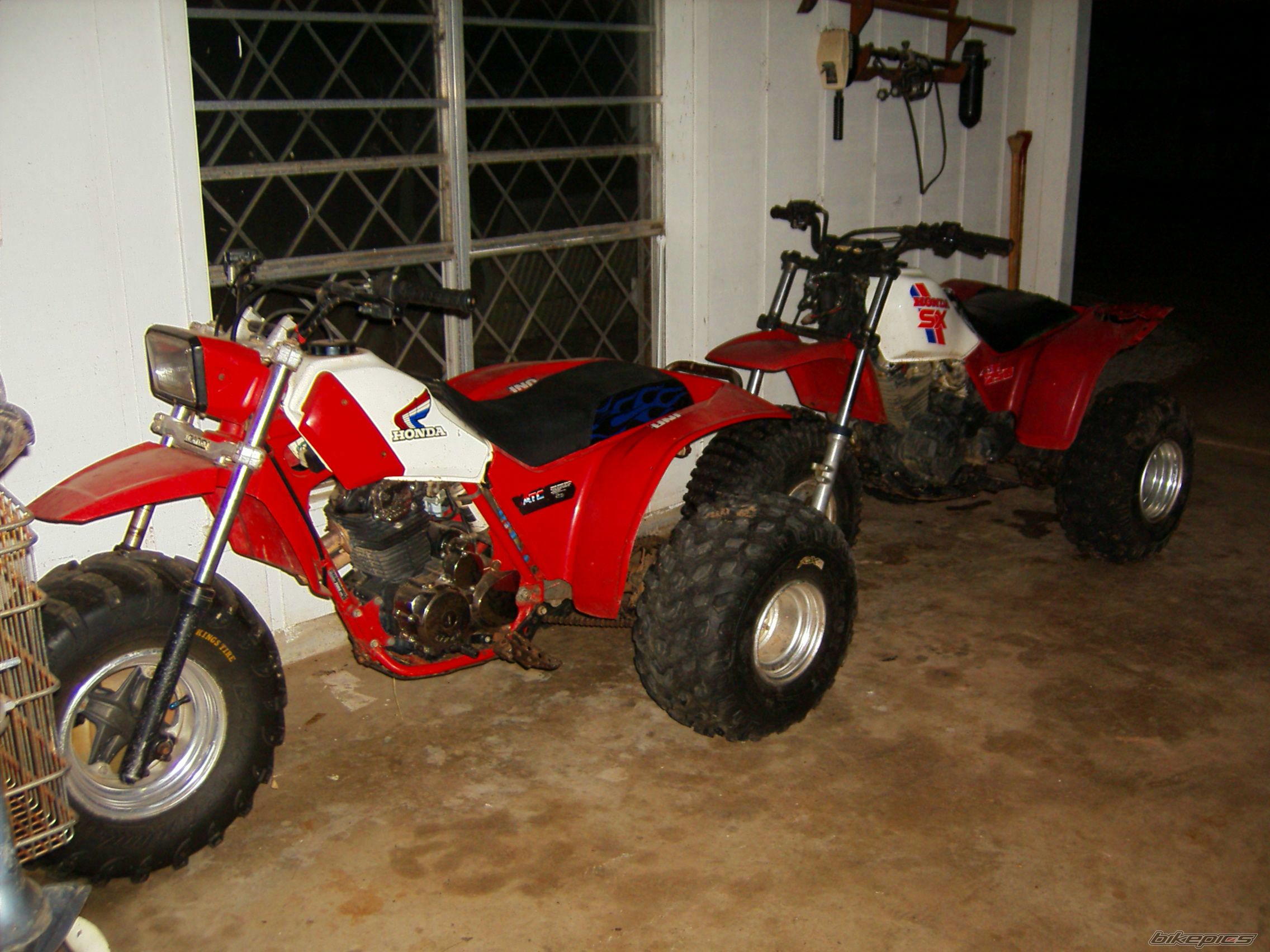 Photo 1236258
