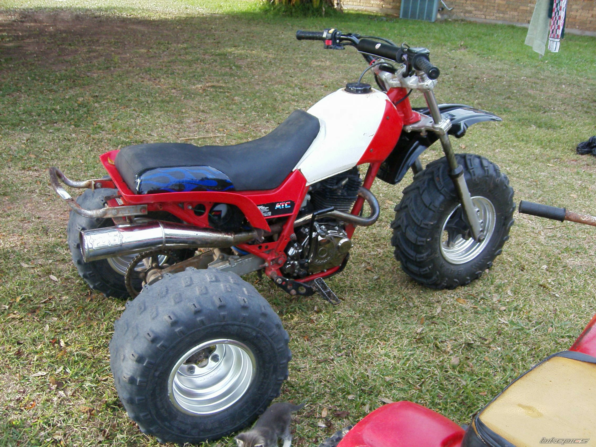Photo 1236261