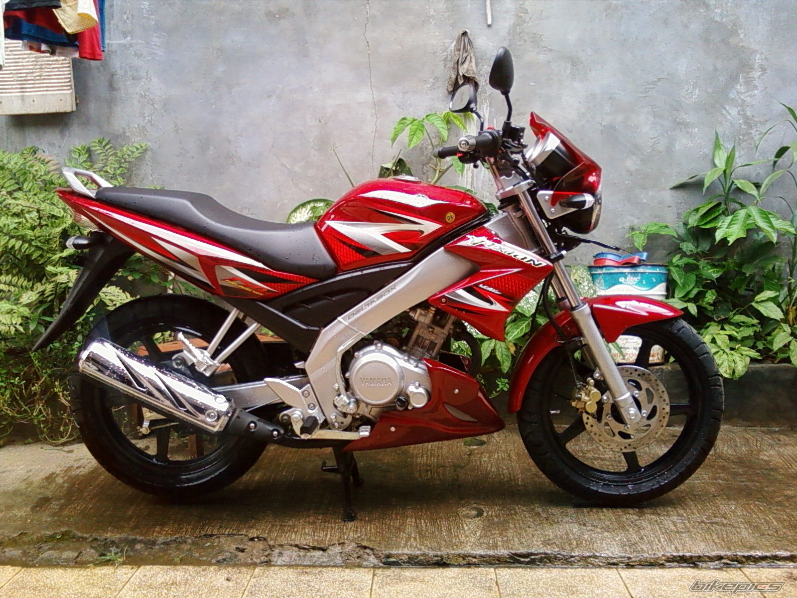 Photo 1236264