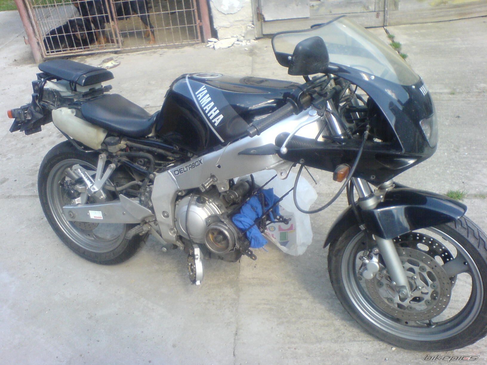 Photo 1236300