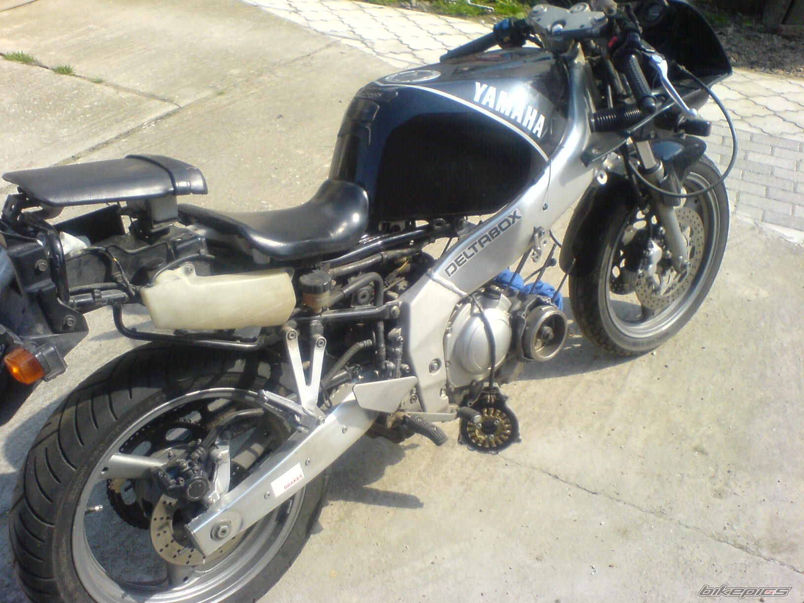 Photo 1236303