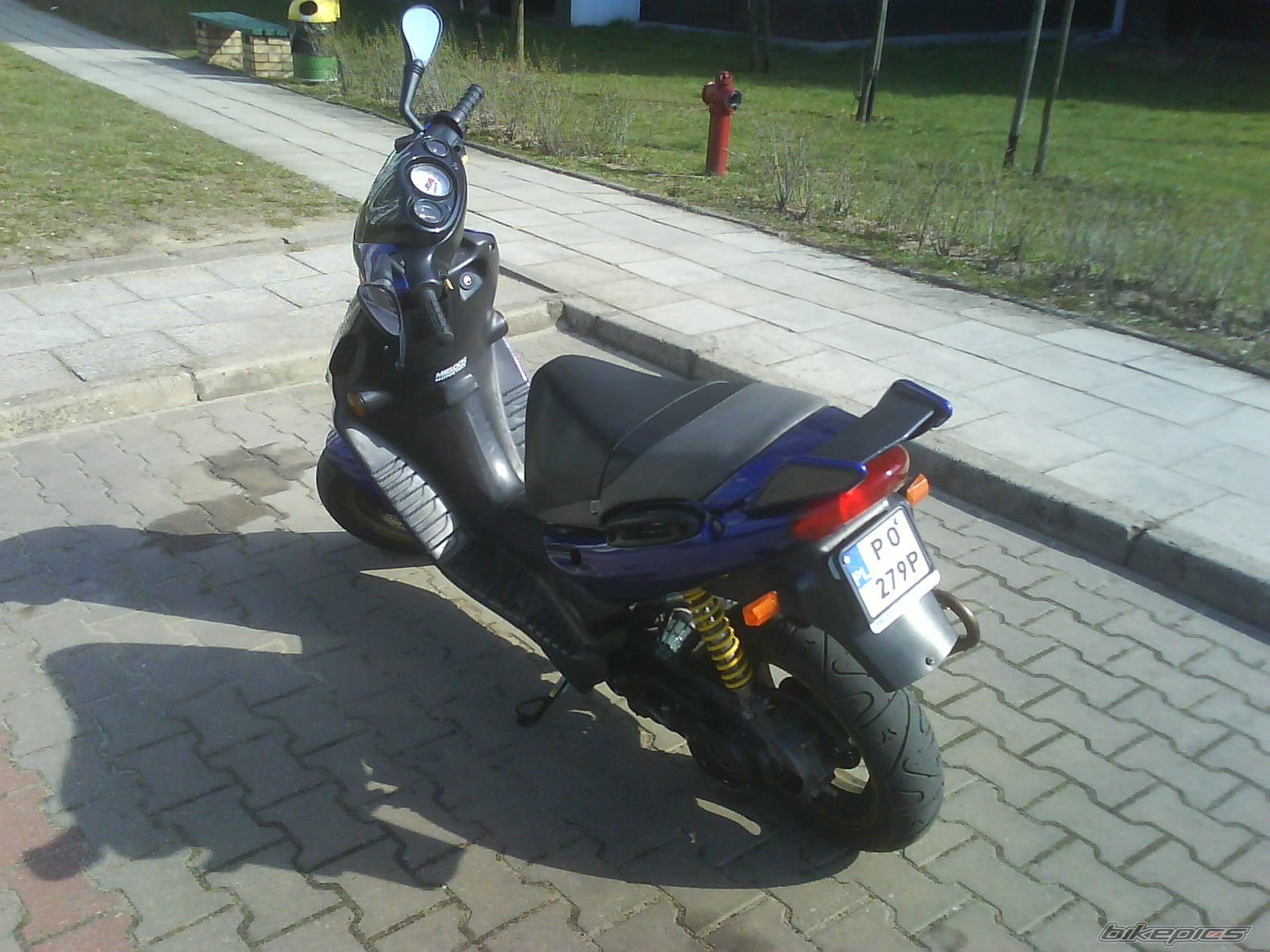 Photo 1236325