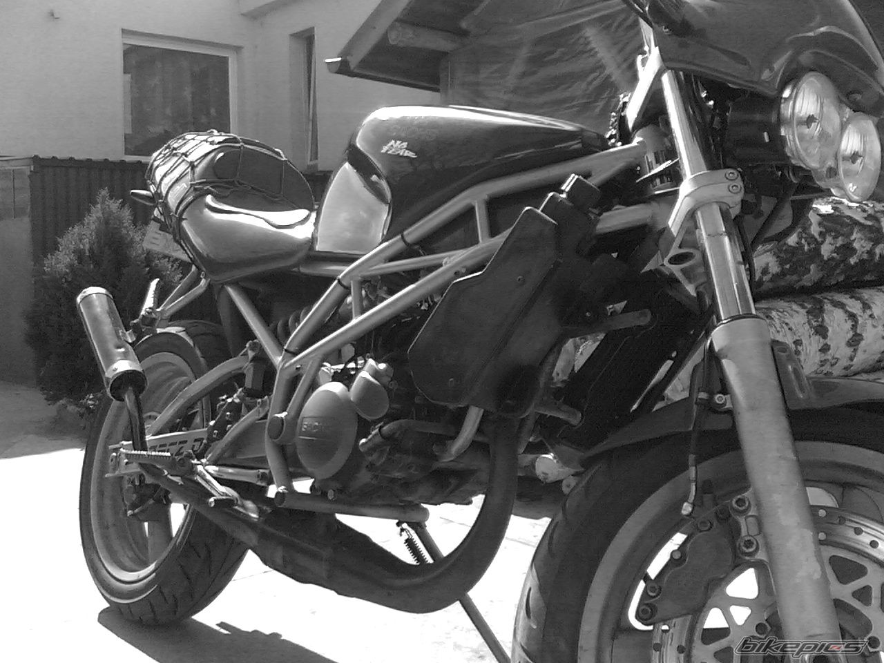 Photo 1236424