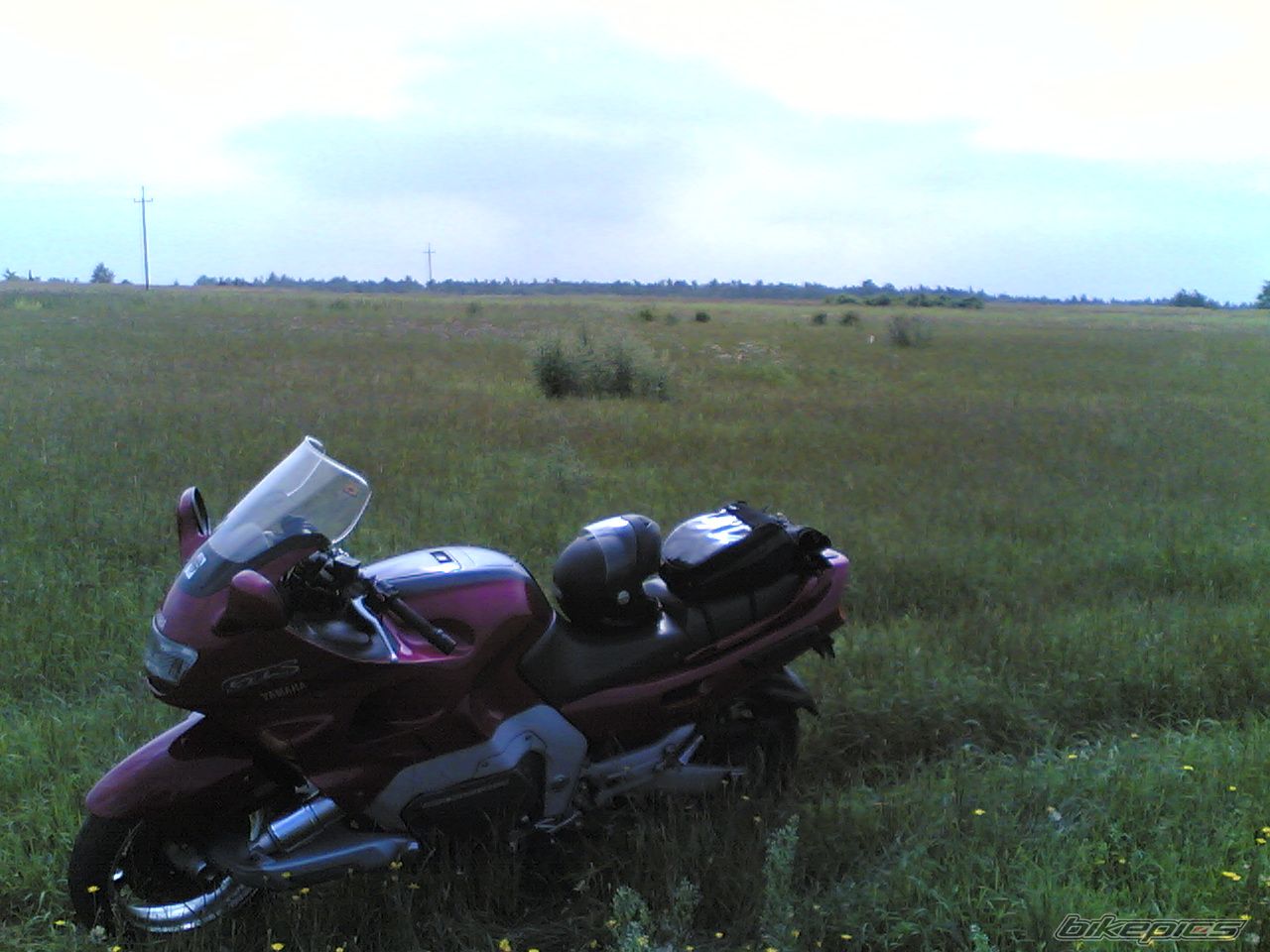 Photo 1236441
