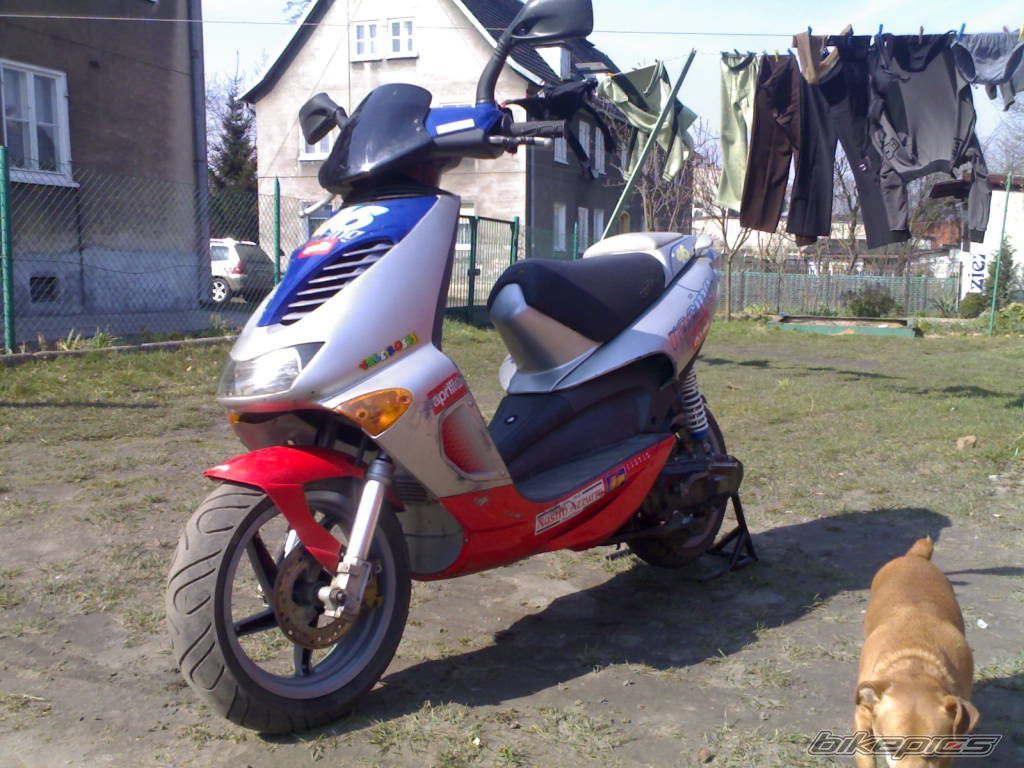 Photo 1236450