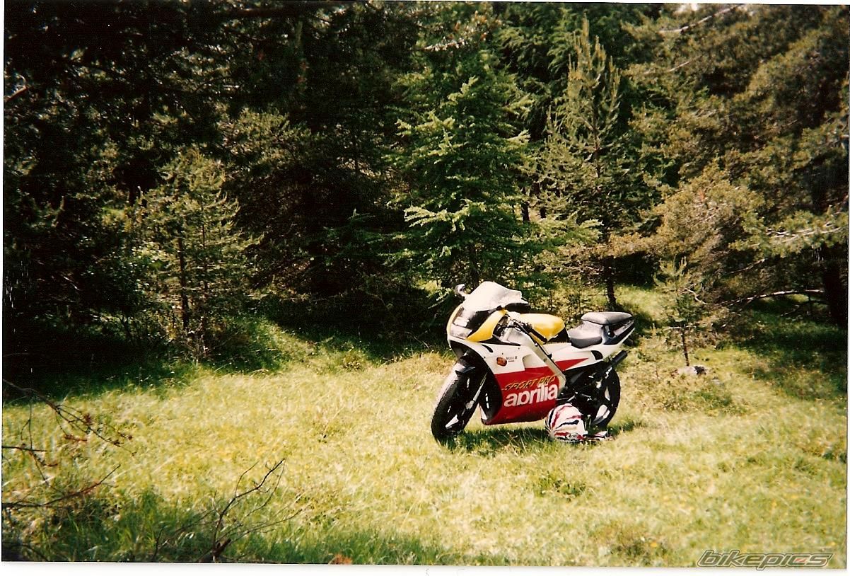 Photo 1236484
