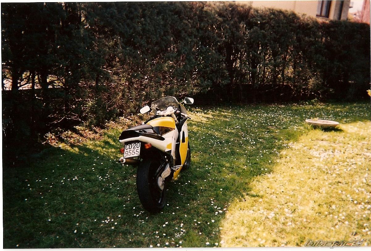 Photo 1236491