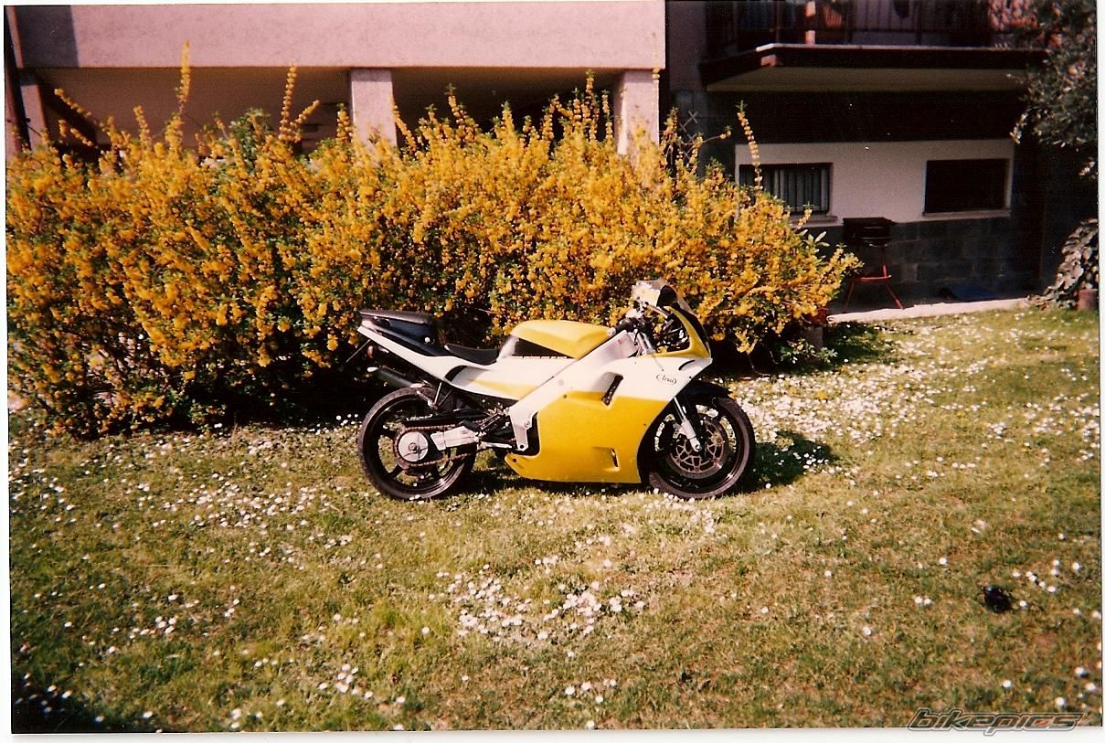 Photo 1236495