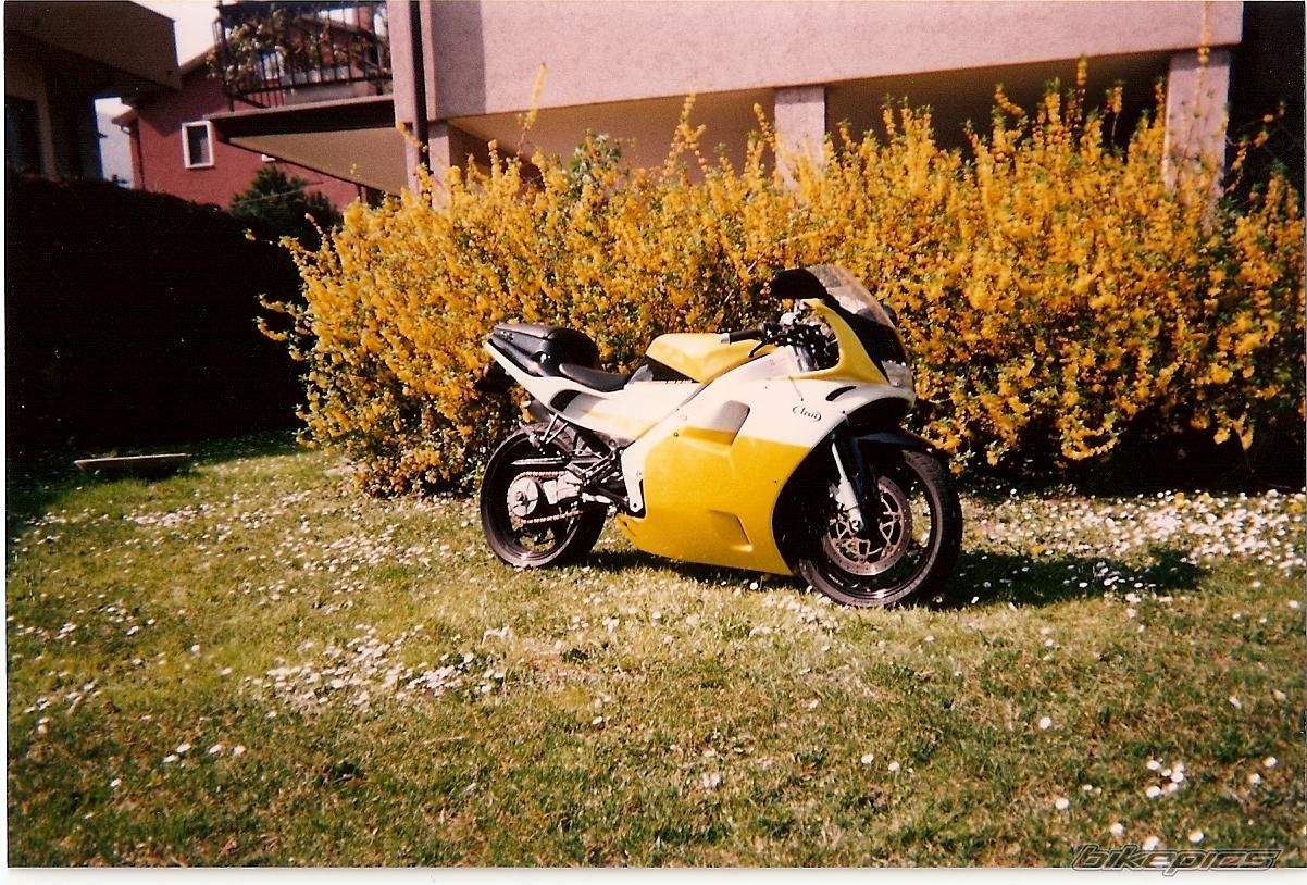 Photo 1236497