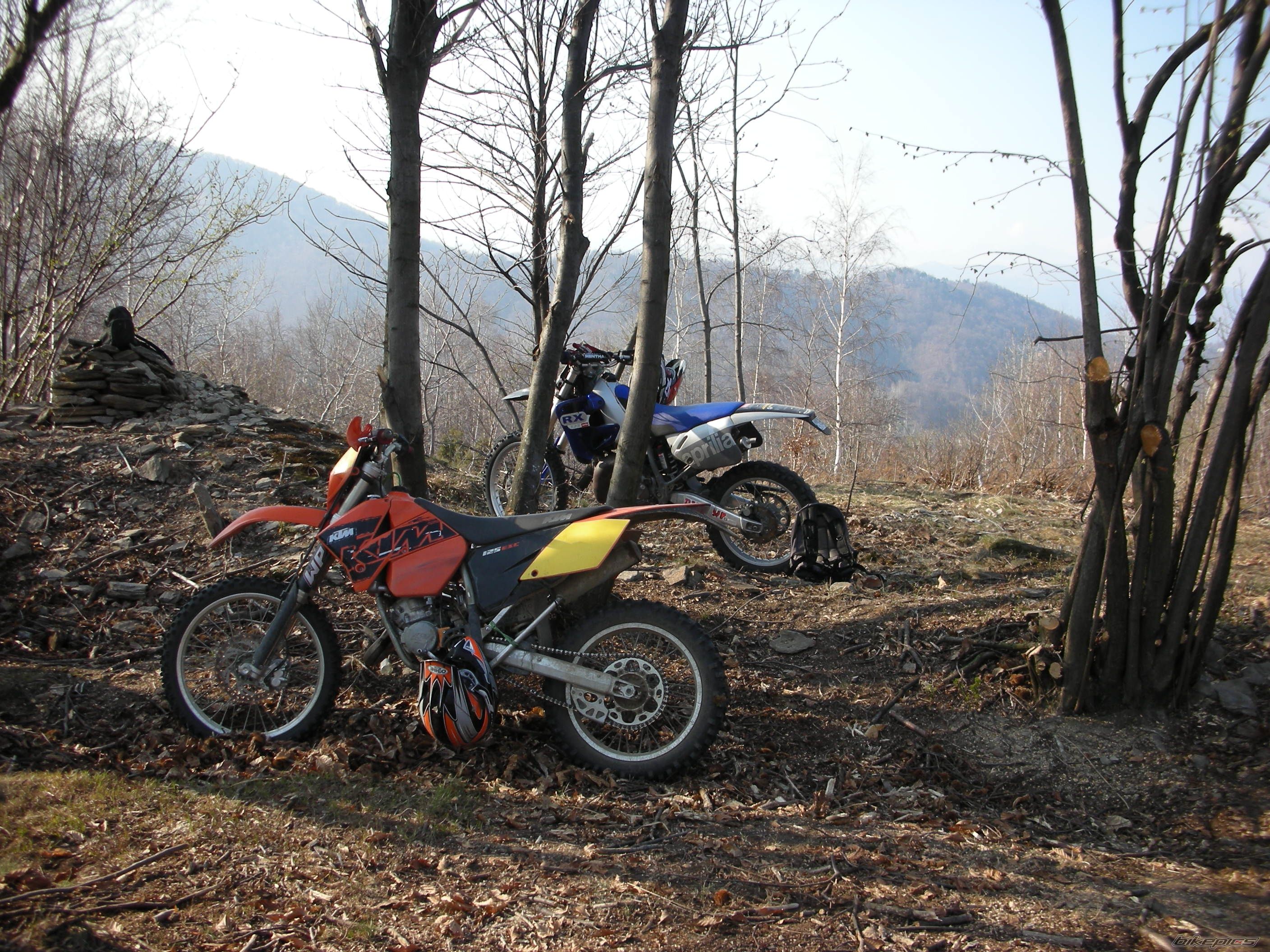 Photo 1236532