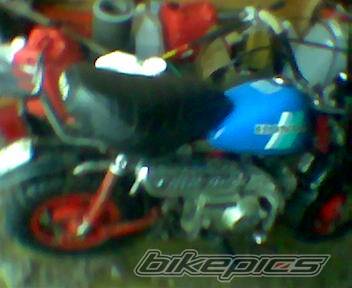 Photo 123670
