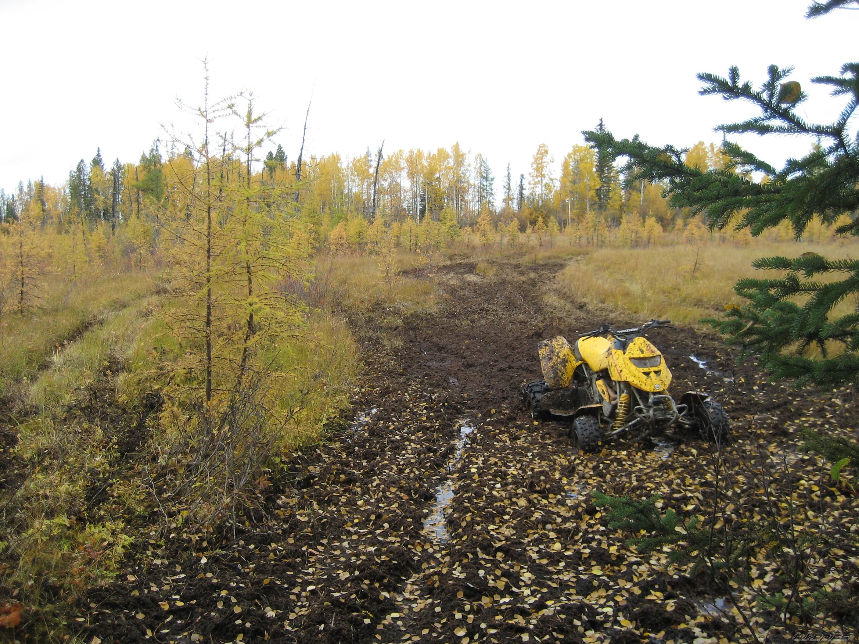 Photo 1236795
