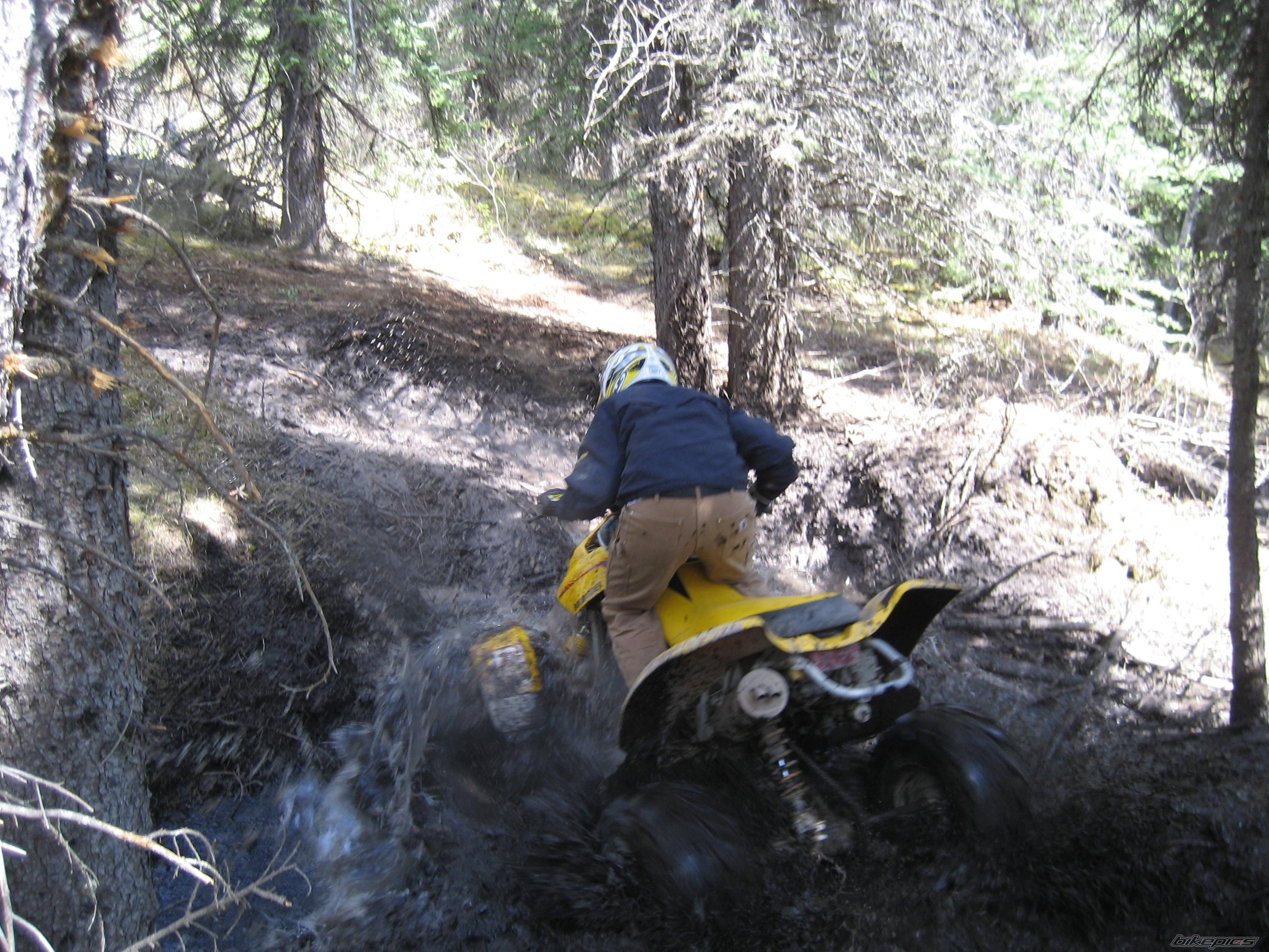 Photo 1236799