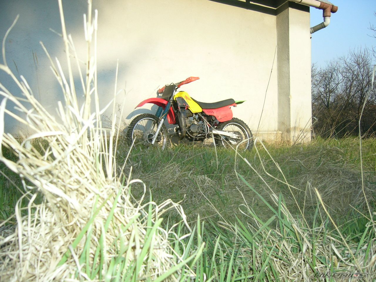 Photo 1236934