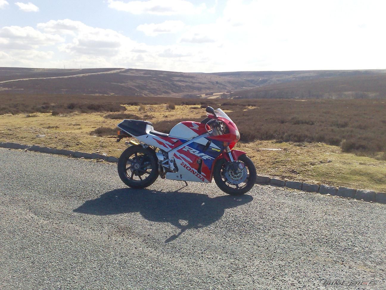 Photo 1236981
