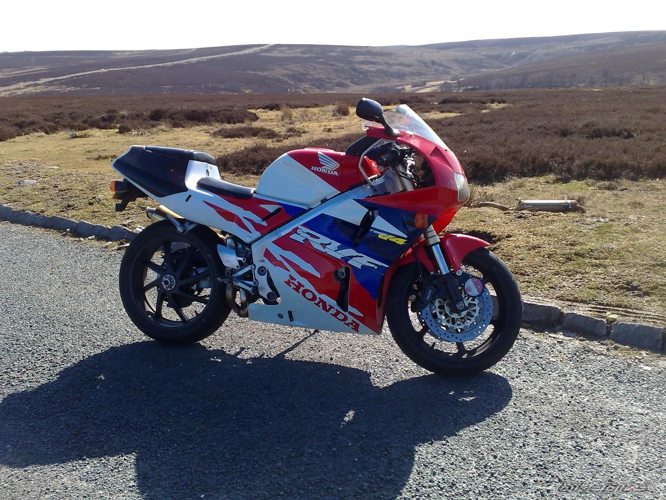 Photo 1236983