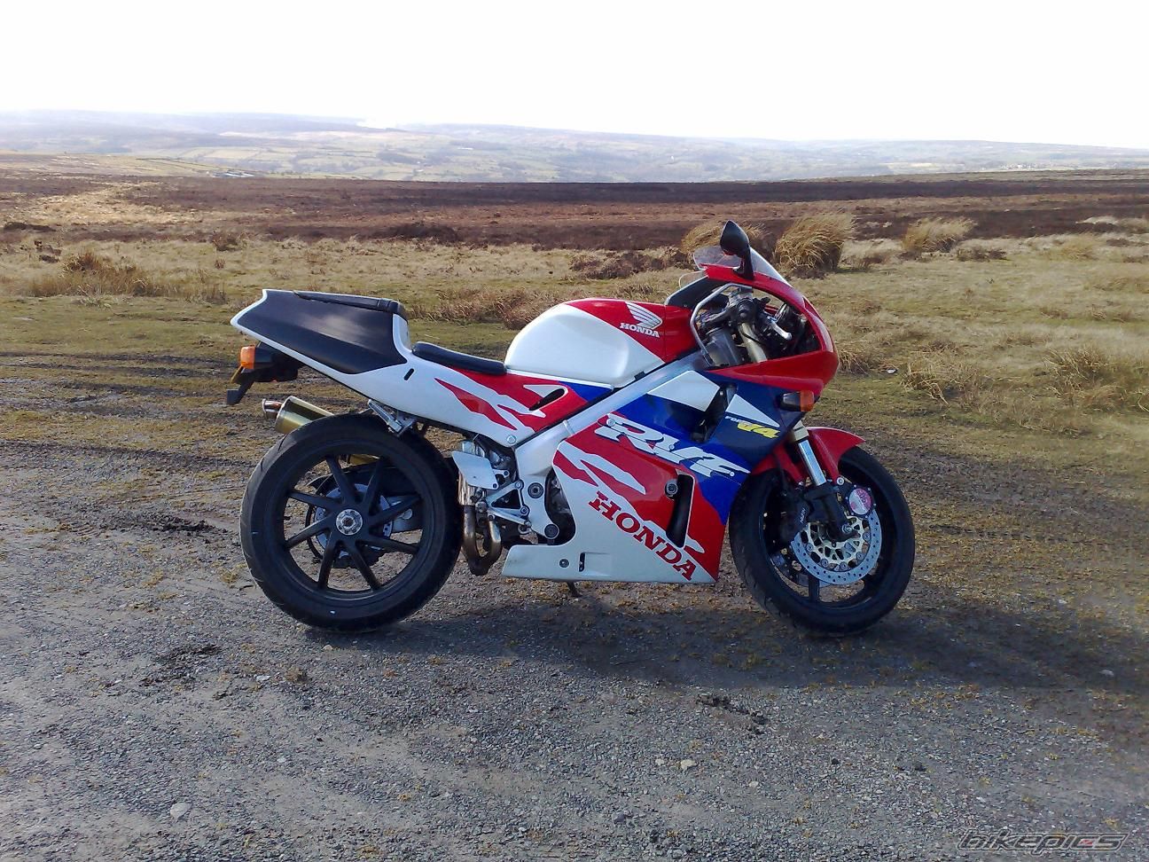 Photo 1236985