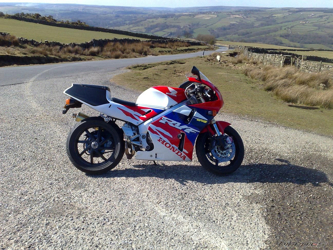 Photo 1236988
