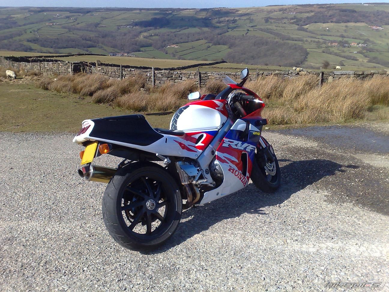 Photo 1236991
