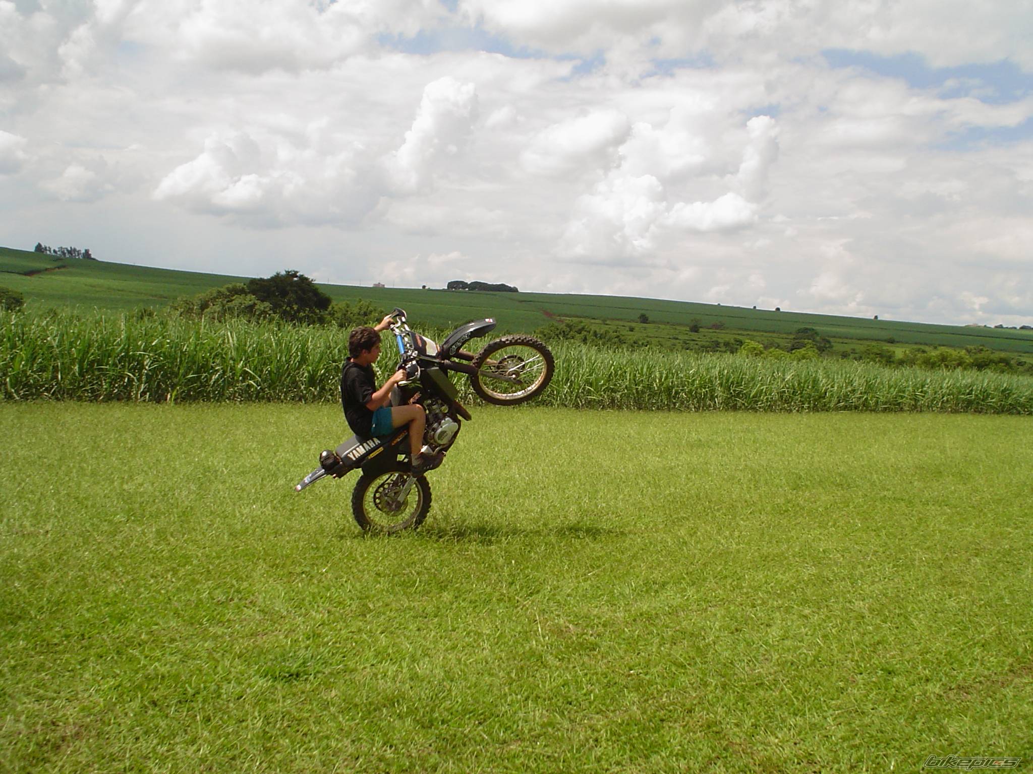 Bike Photo 123701
