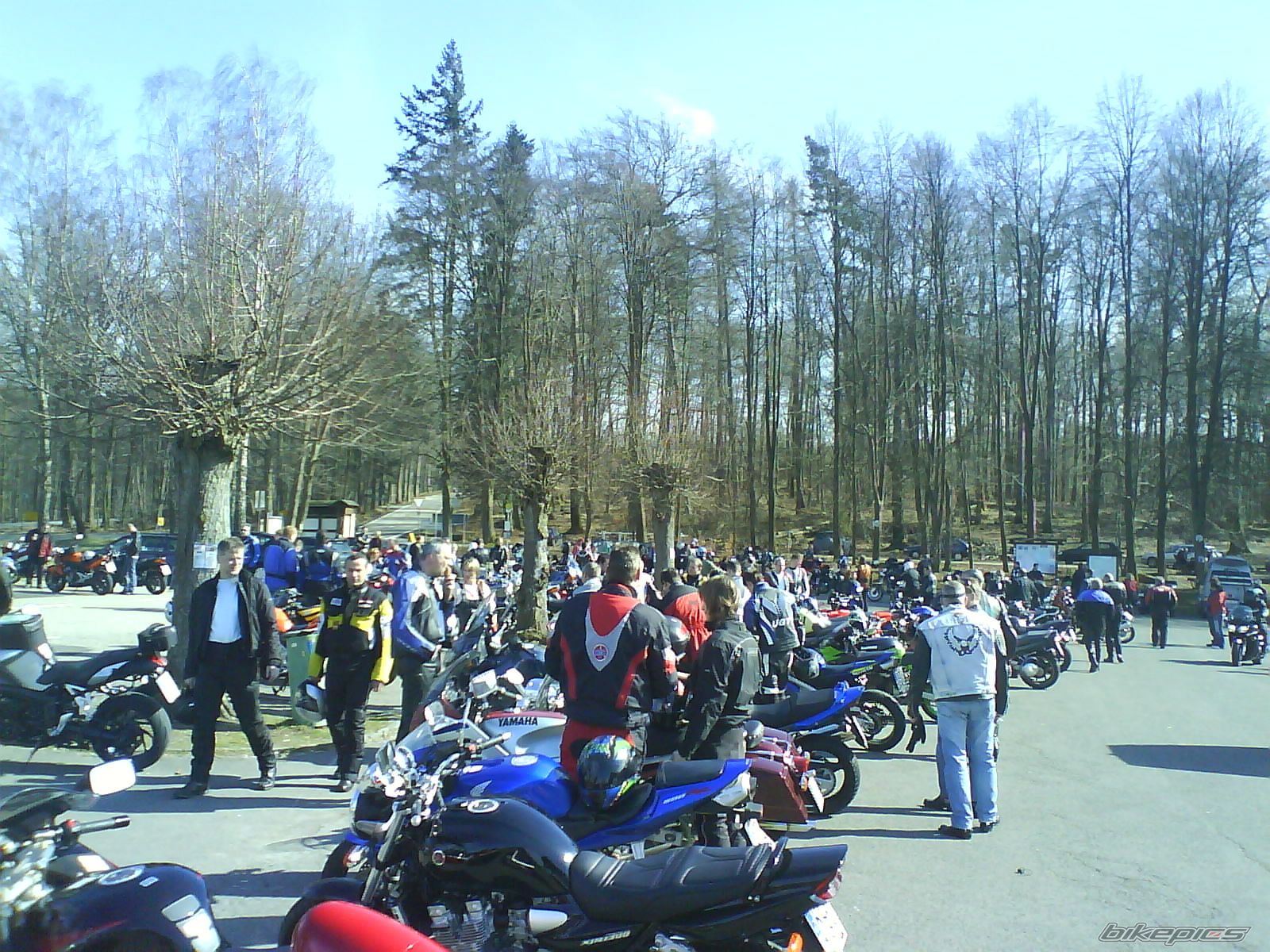 Photo 1237039