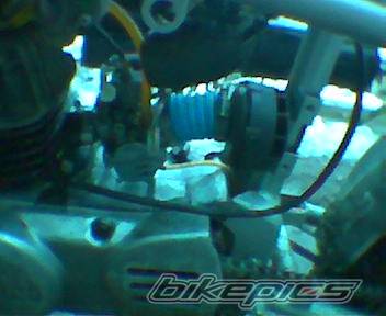 Photo 123710