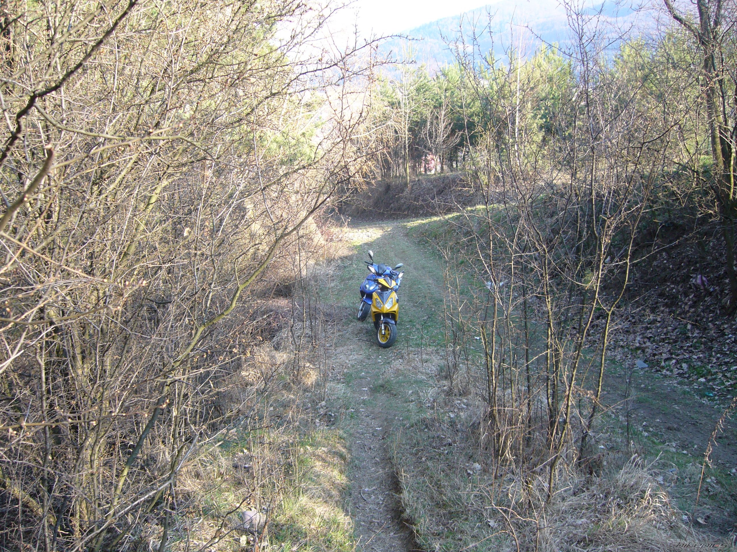 Photo 1237155