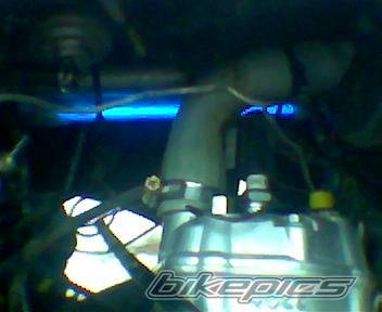 Photo 123720