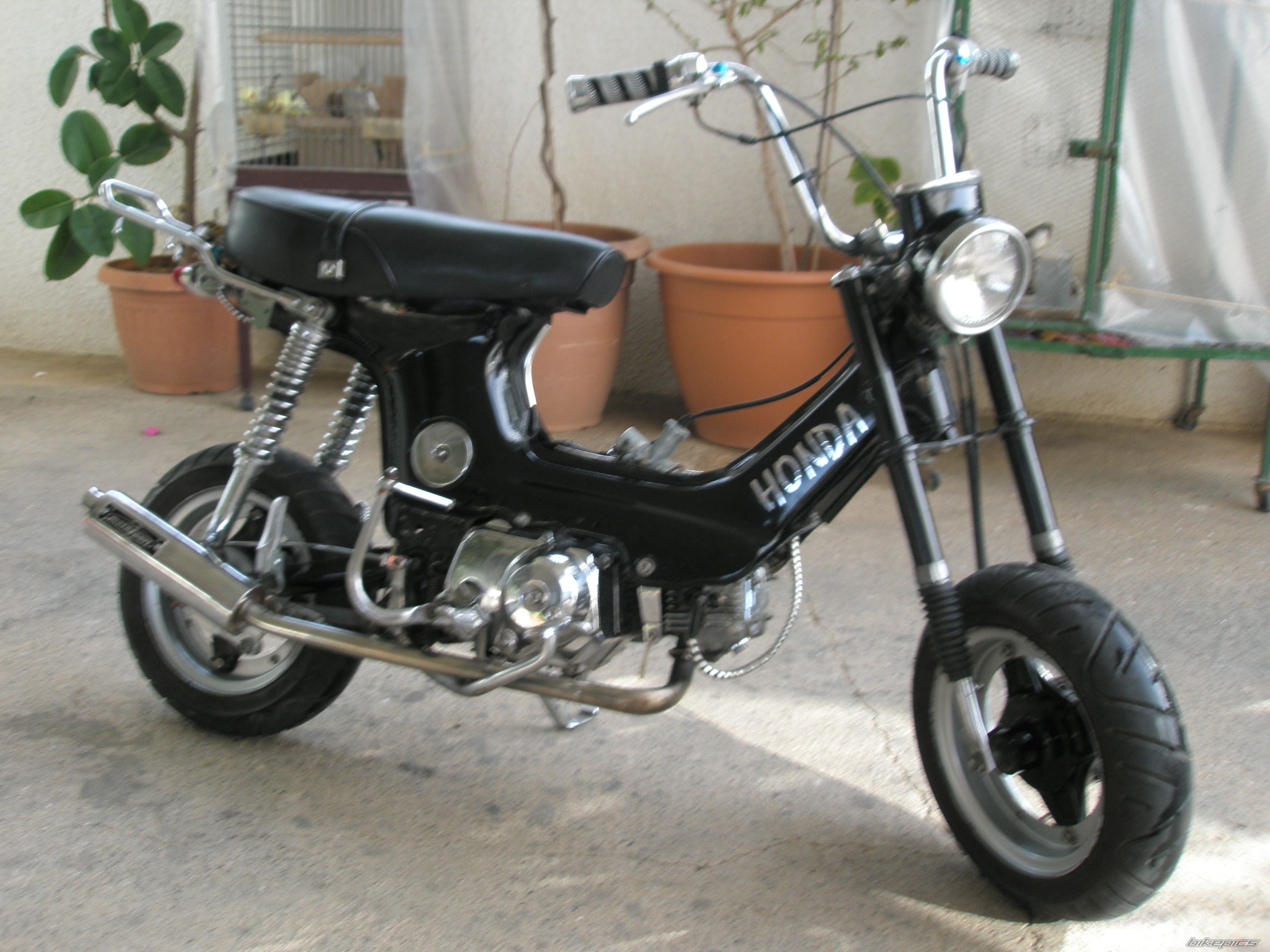 Photo 1237340