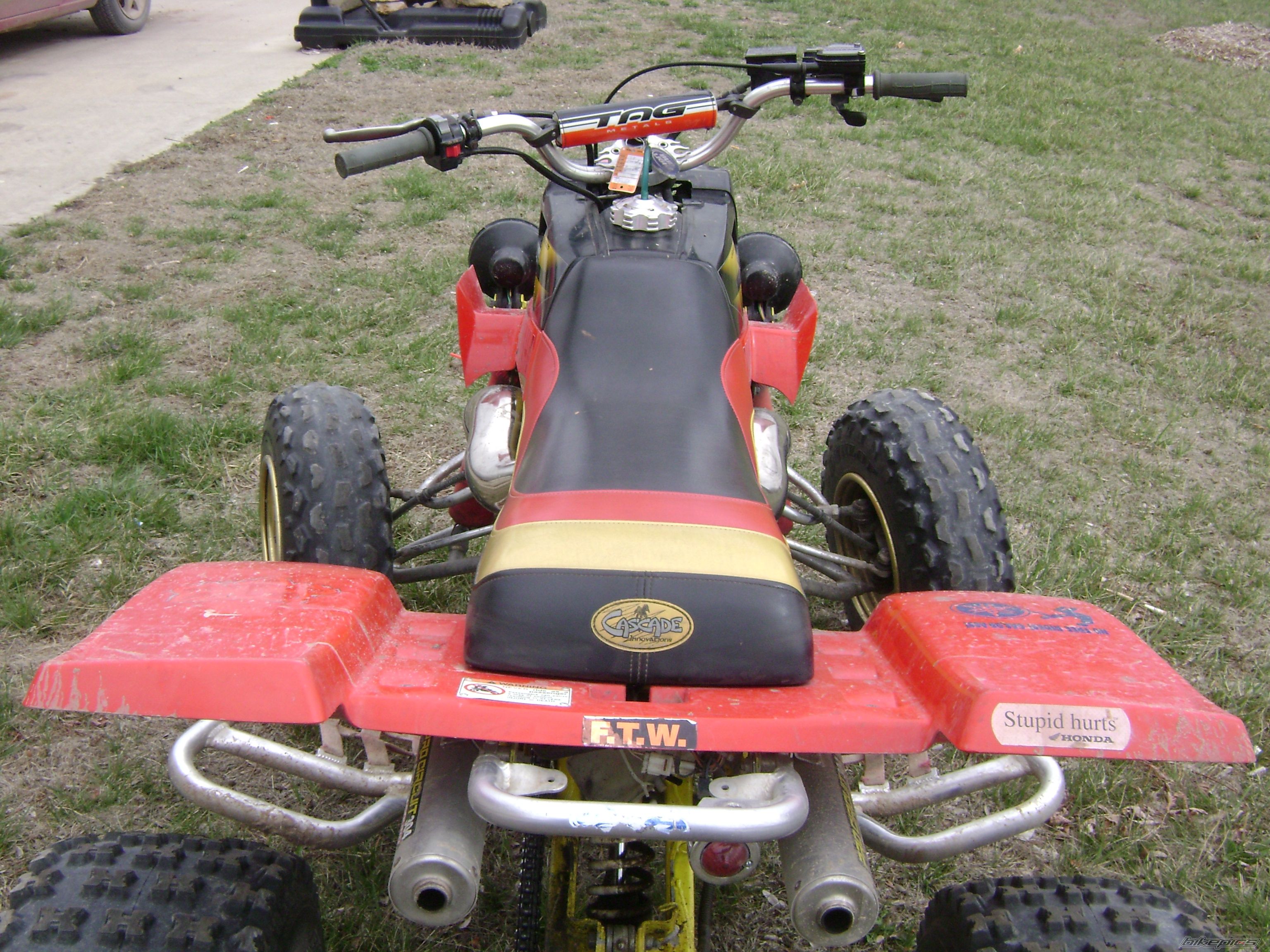 Photo 1237431