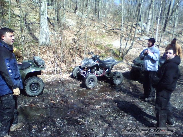 Photo 1237493