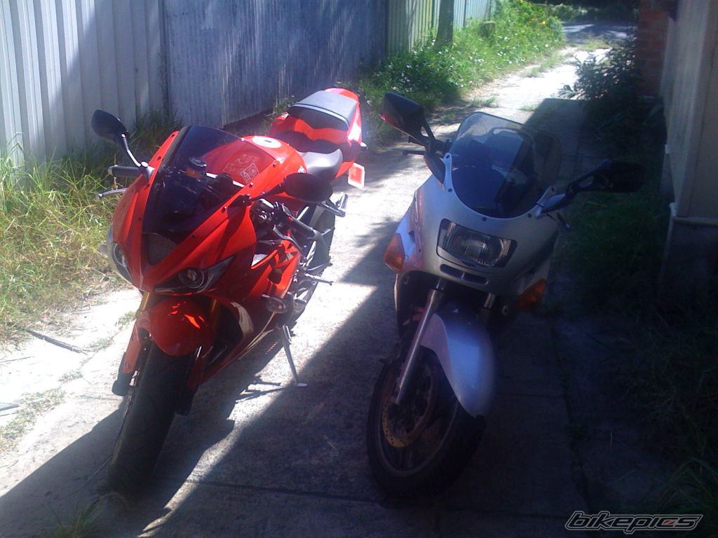 Photo 1237519