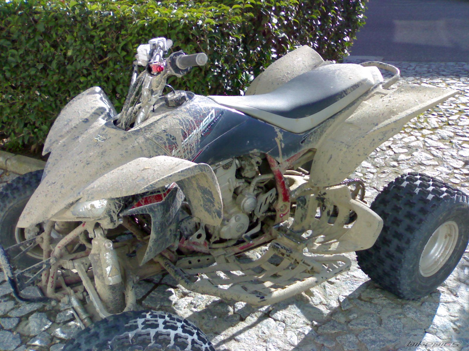 Bike Photo 1237523