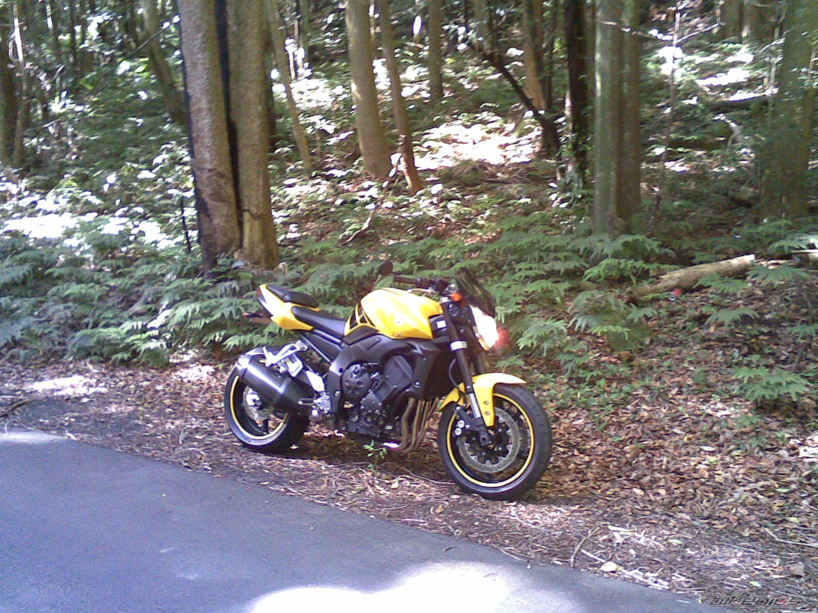Photo 1237538