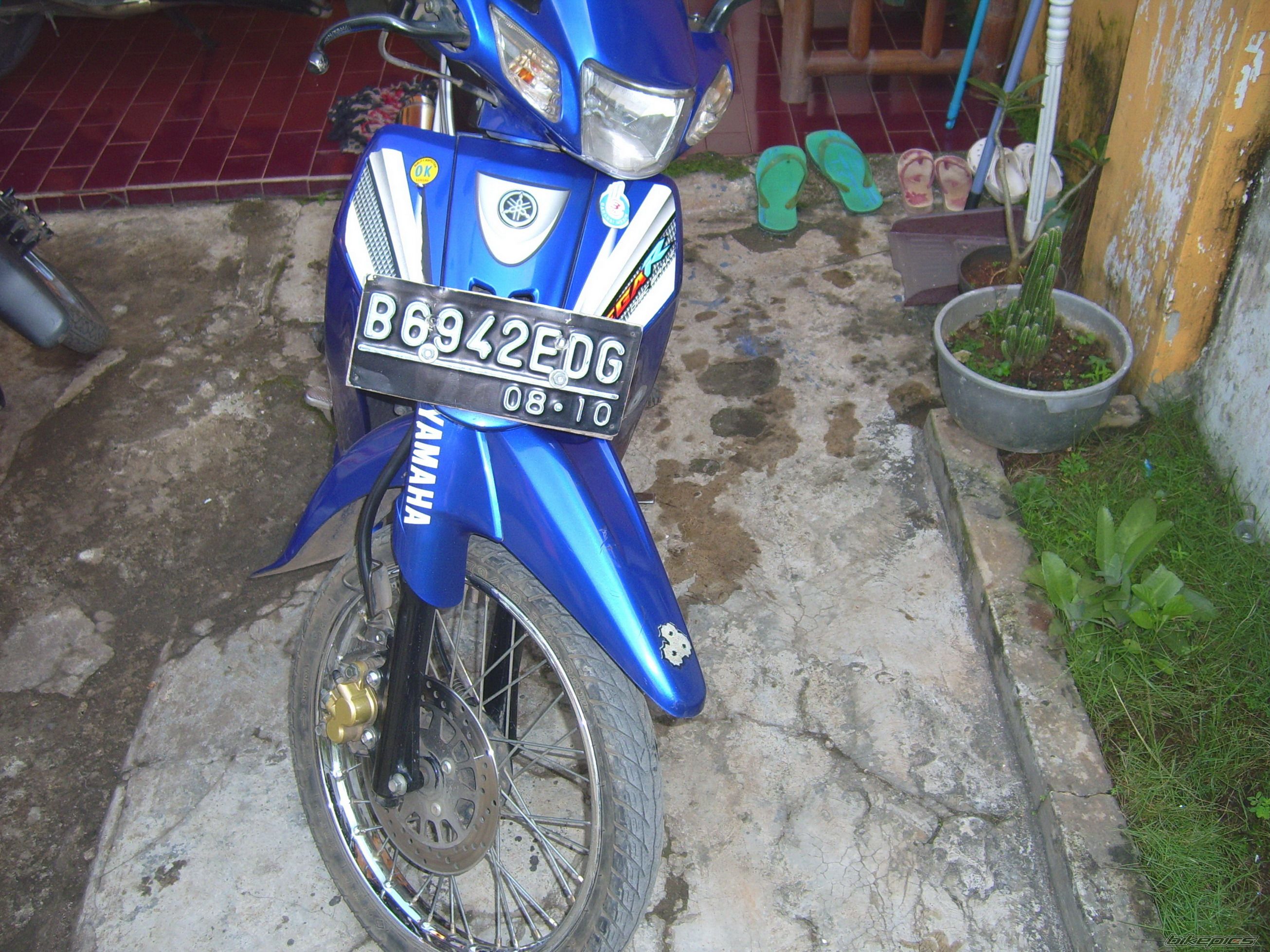 Photo 1237577
