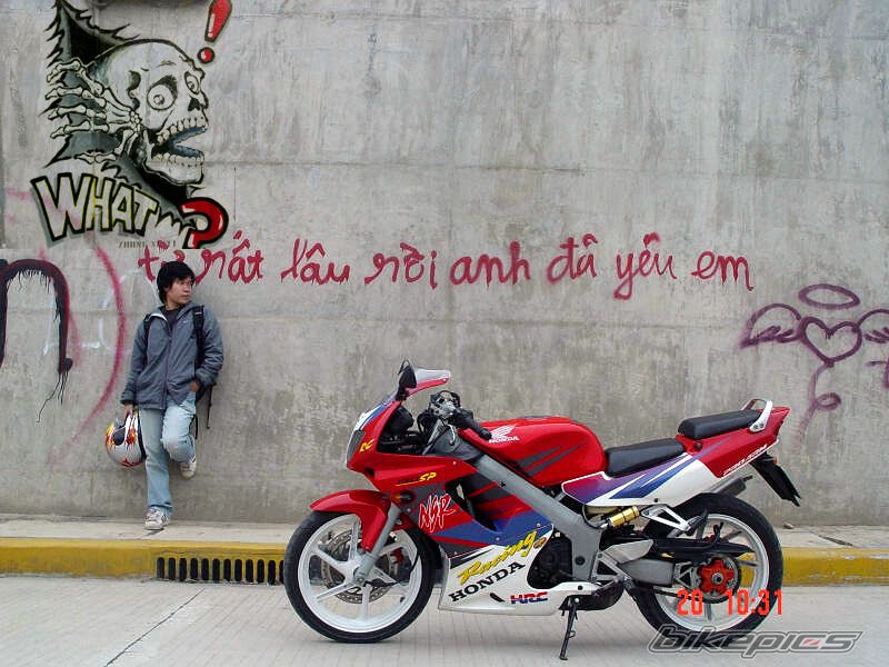 Photo 1237602