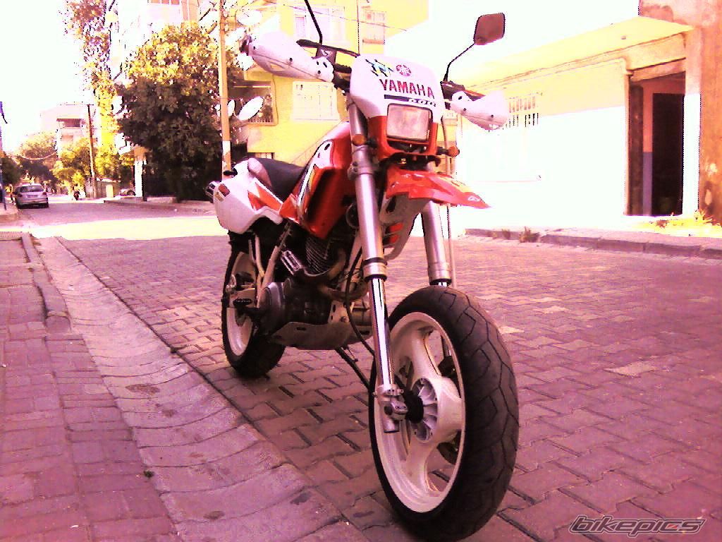 Photo 1237635