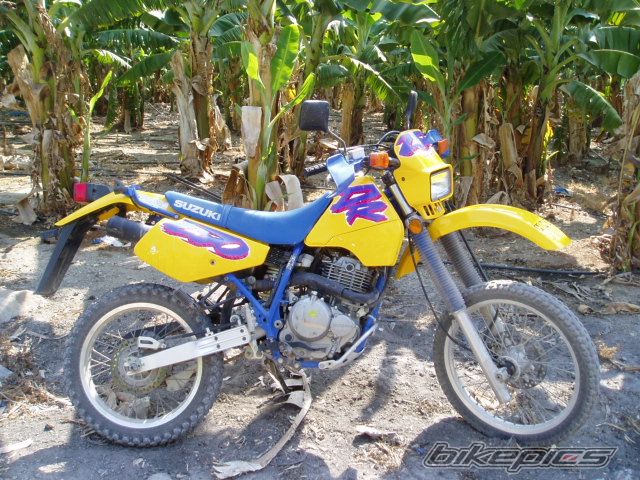 Bike Photo 1237654