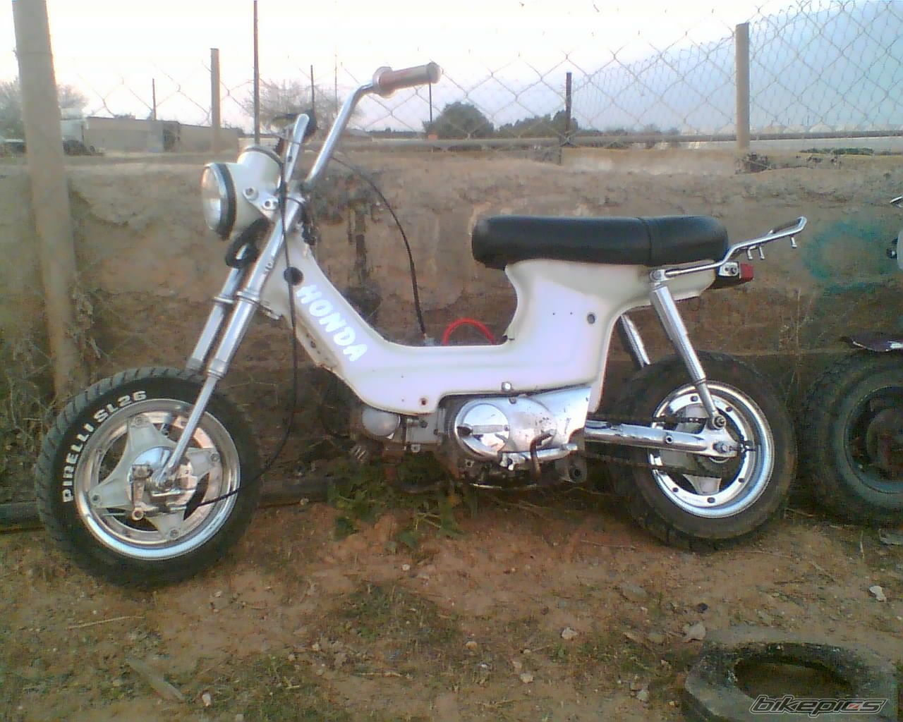 Photo 1237663