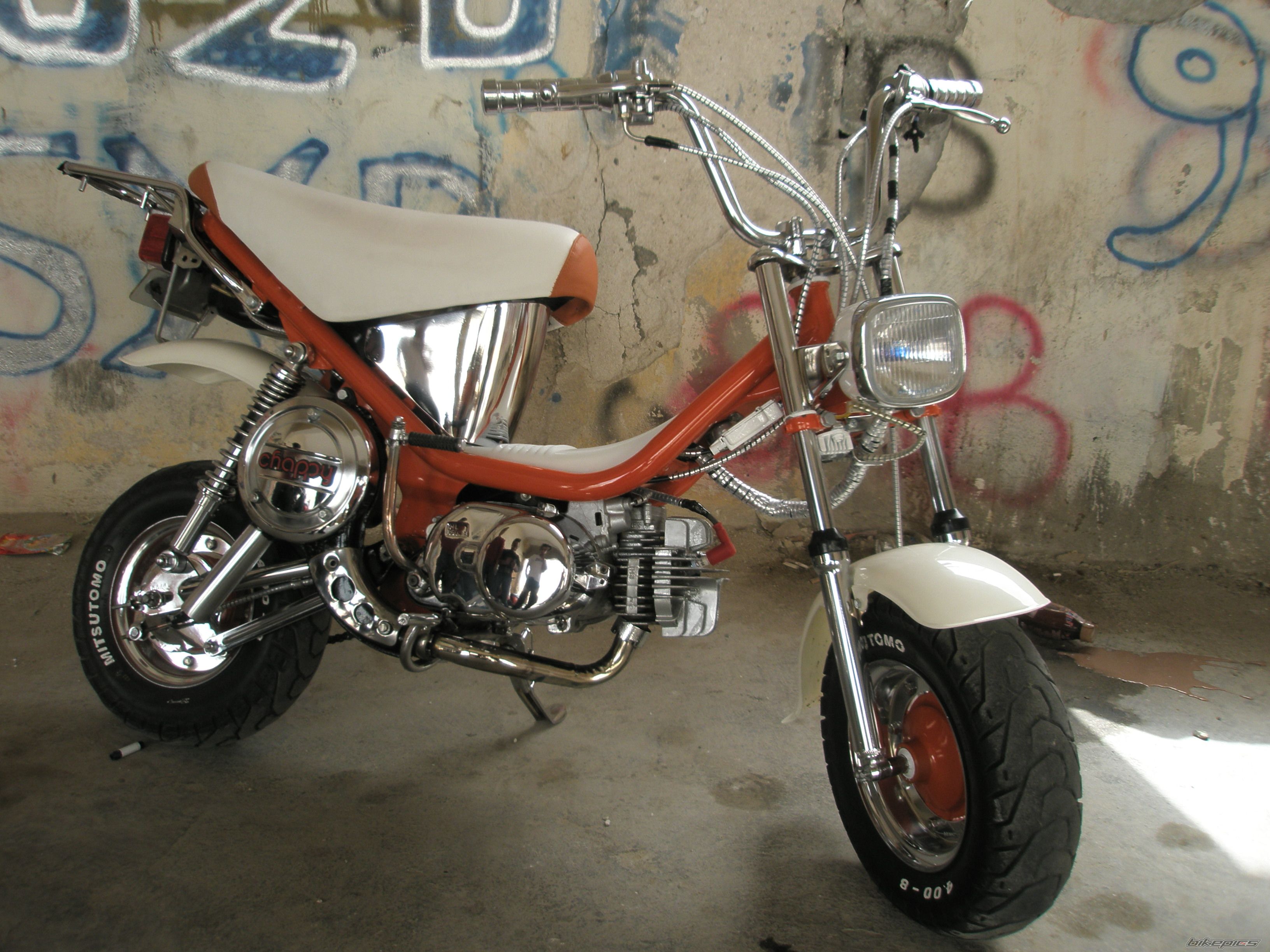 Photo 1237676