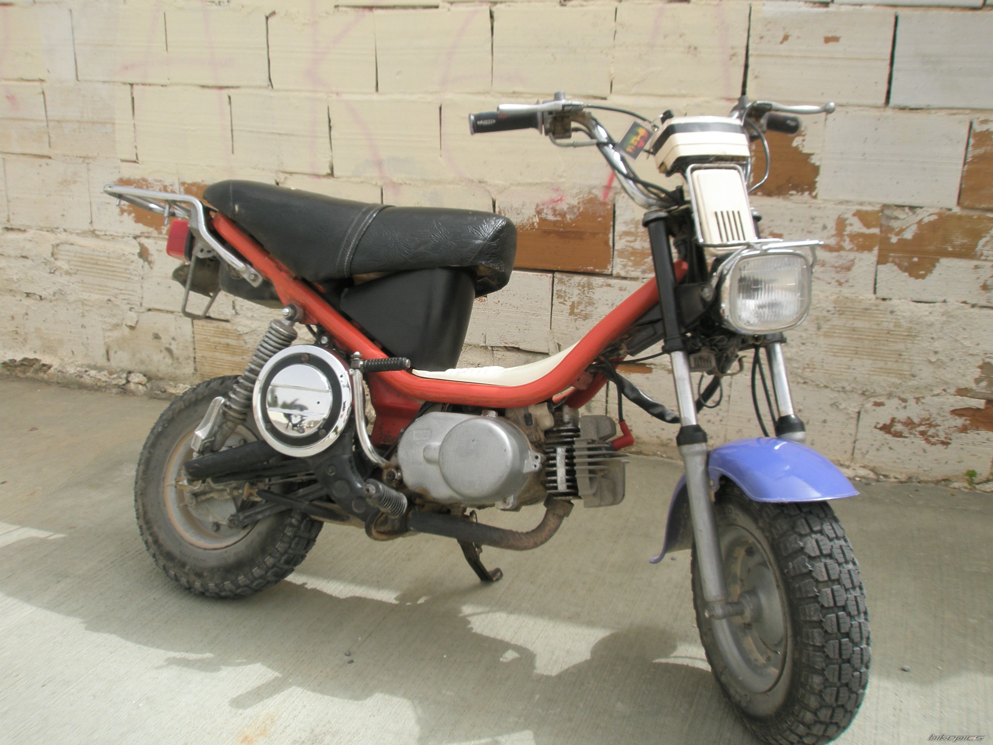 Photo 1237696