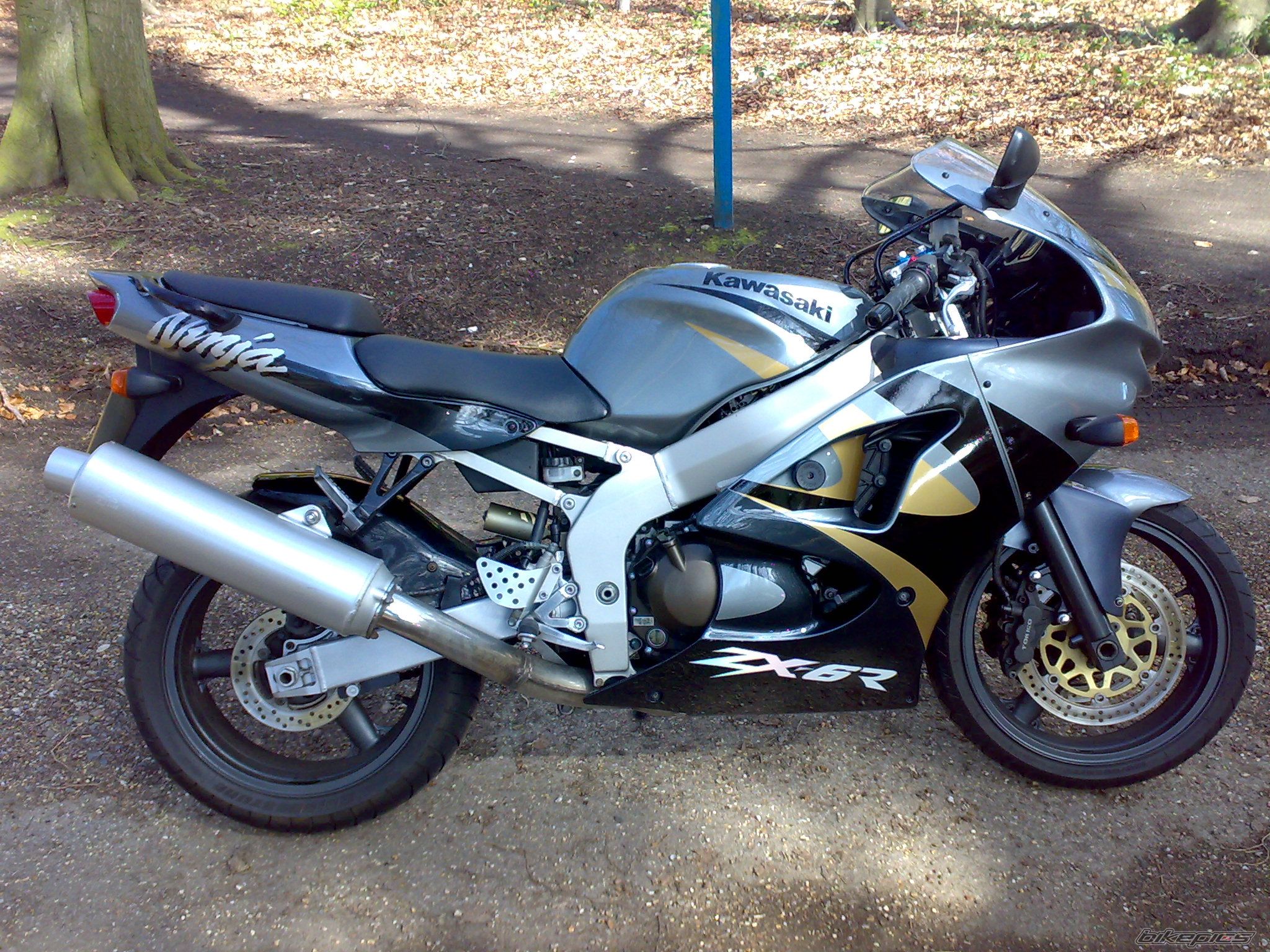 Photo 1237753